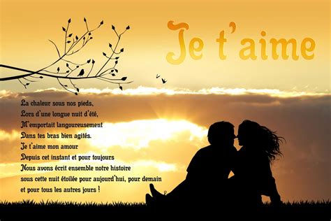 je t'aime mon amour meaning.